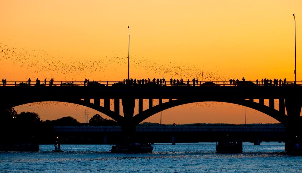 Bats soar above the Congress Avenue Bridge at sunset.