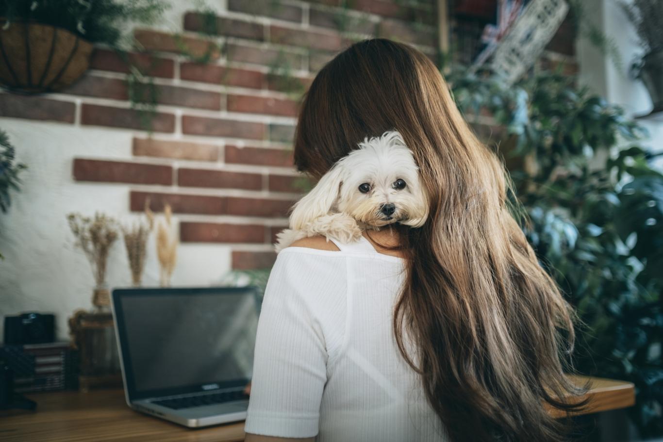 A woman sitting facing her computer with a dog peeking over her shoulder.