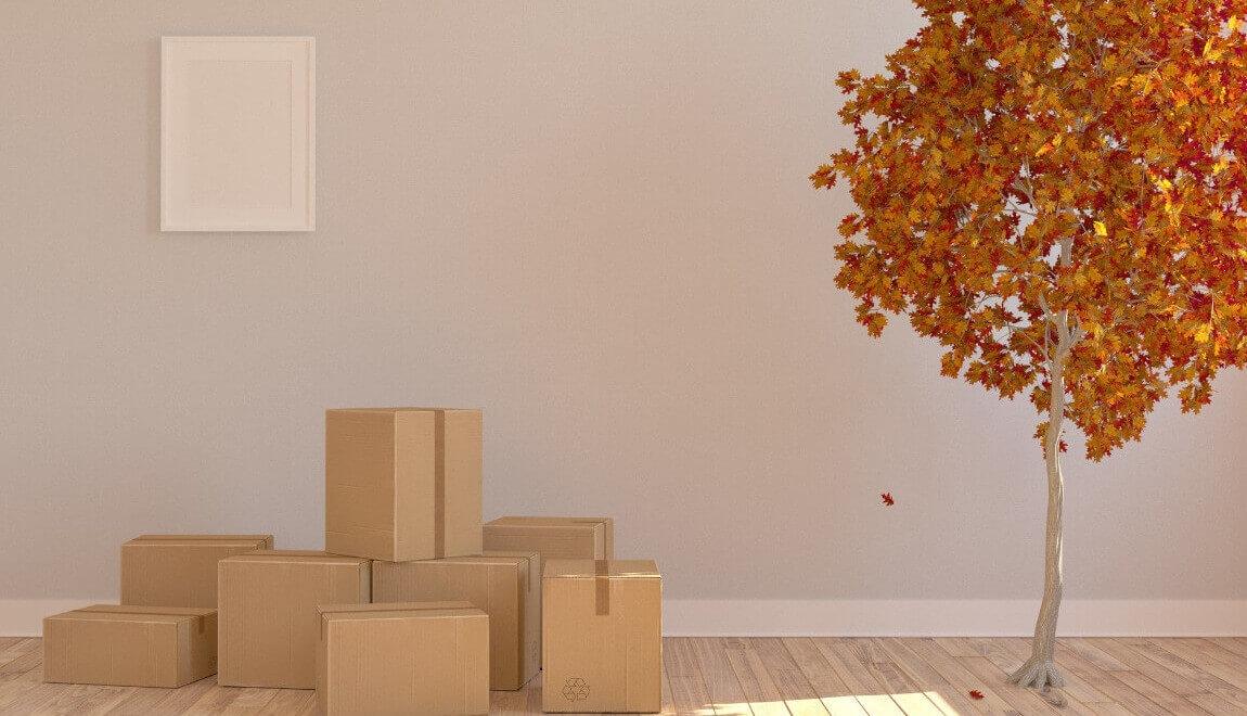 Moving boxes next to a tree with falling leaves