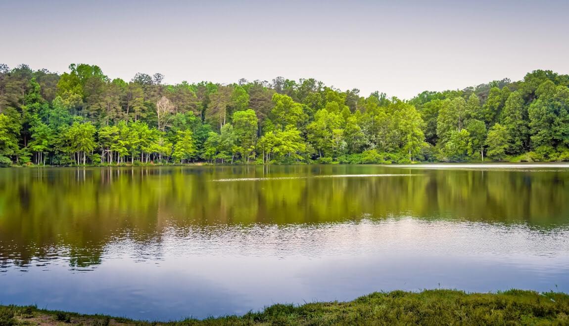 A lake and forest in Durham, North Carolina.