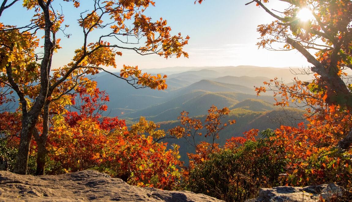 The view from Blood Mountain in the fall.