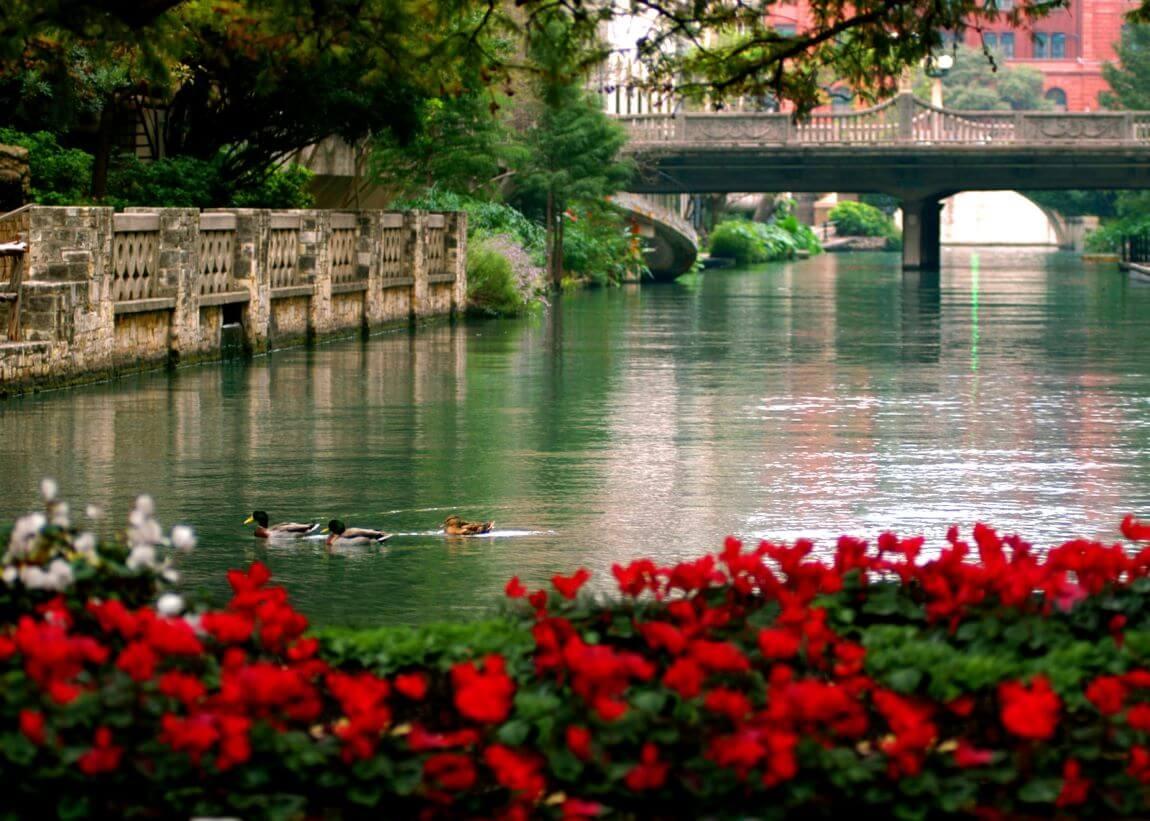 River Walk with flowers on the side