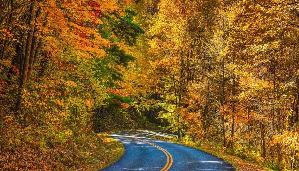 Fall in Asheville, NC