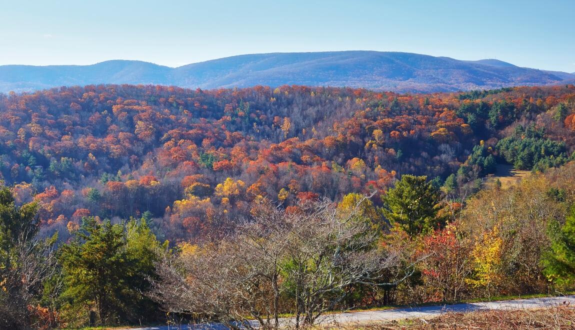 Autumn colors in Charlottesville, VA