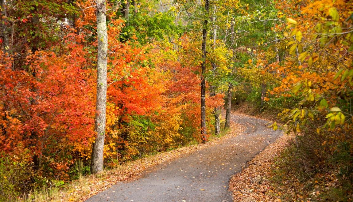 Fall in Chattanooga, TN