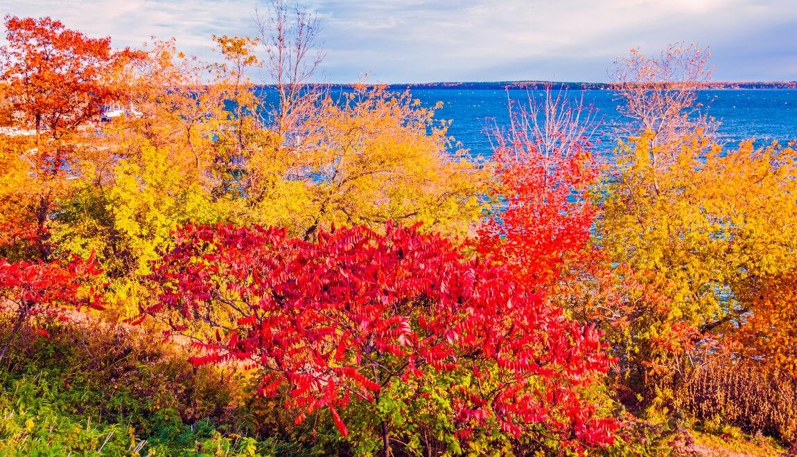 Fall in Milwaukee, Wisconsin.