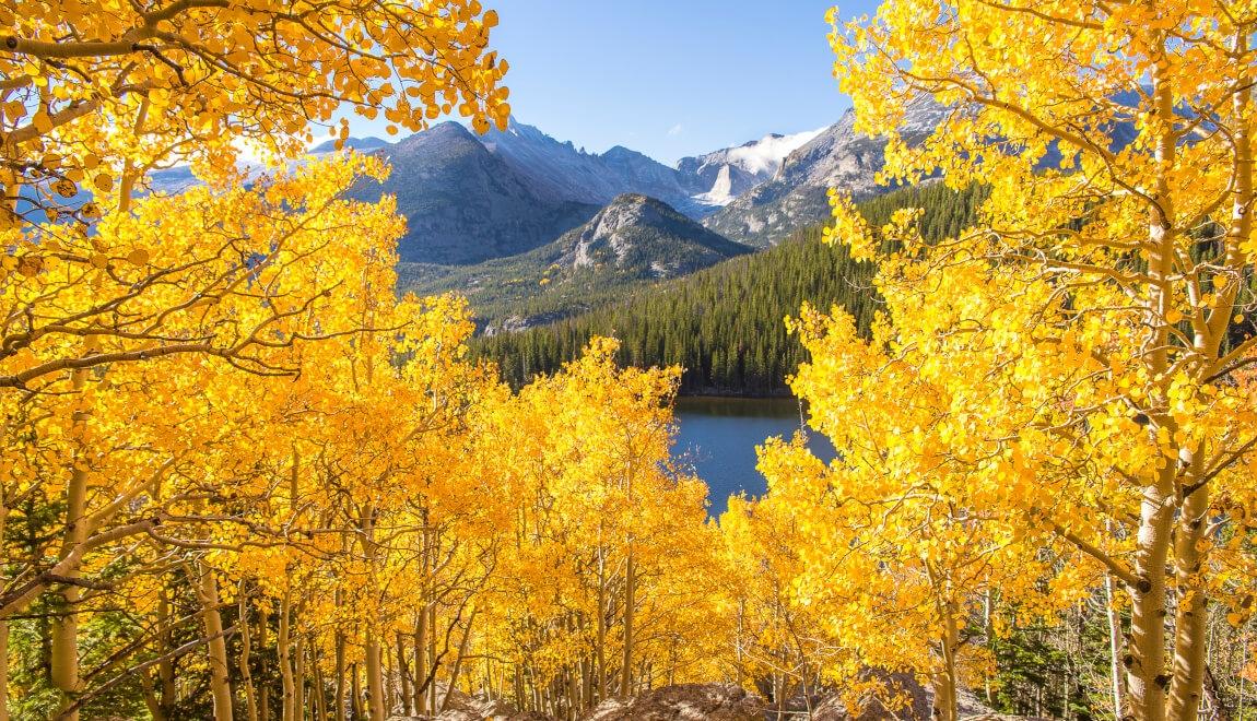 Fall in Rocky Mountain National Park near Denver, Colorado. 