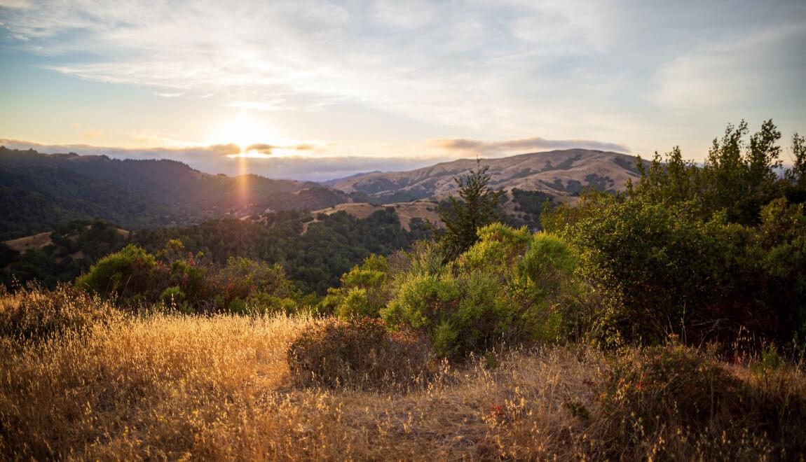 The Marin Headlands in the fall