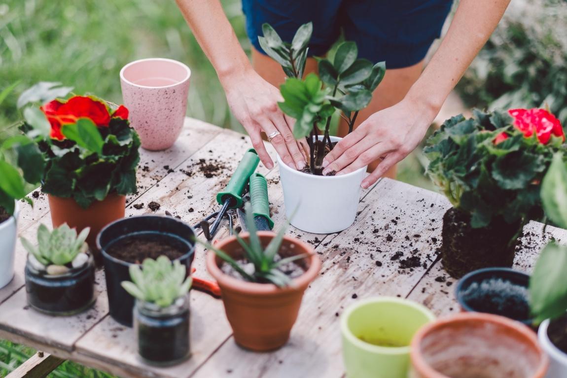 decorate your yard