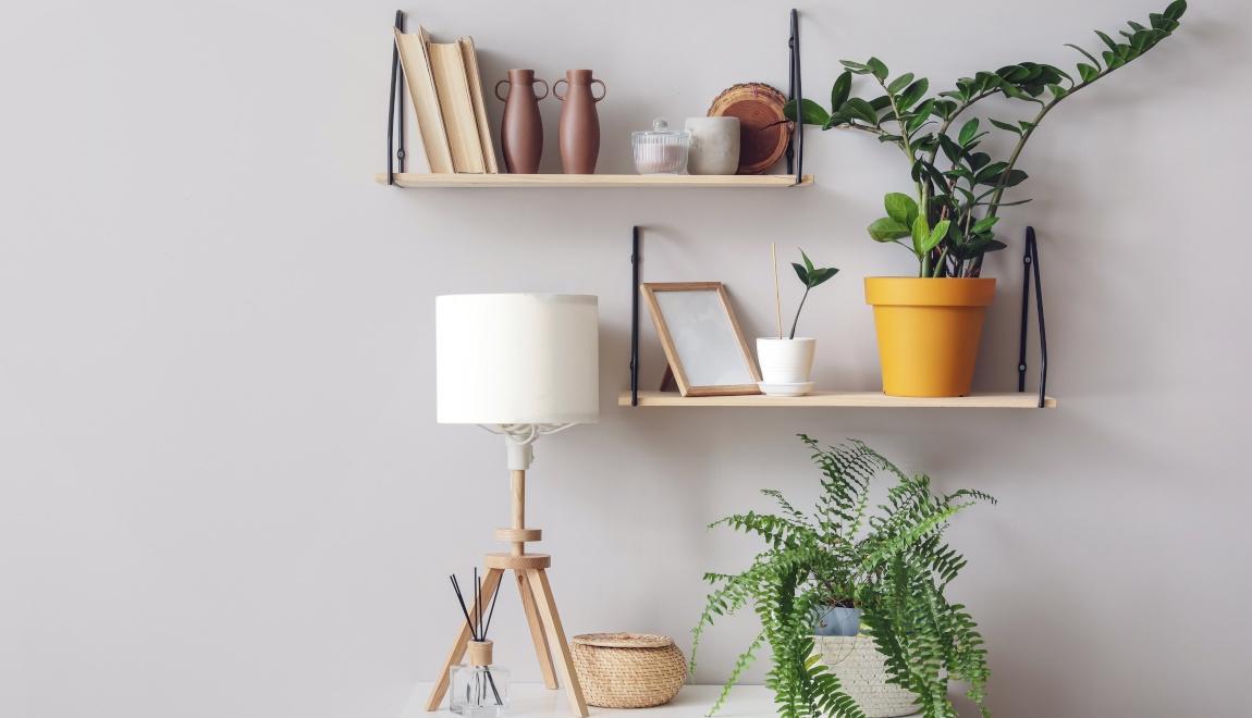 An image of shelves on the wall. 