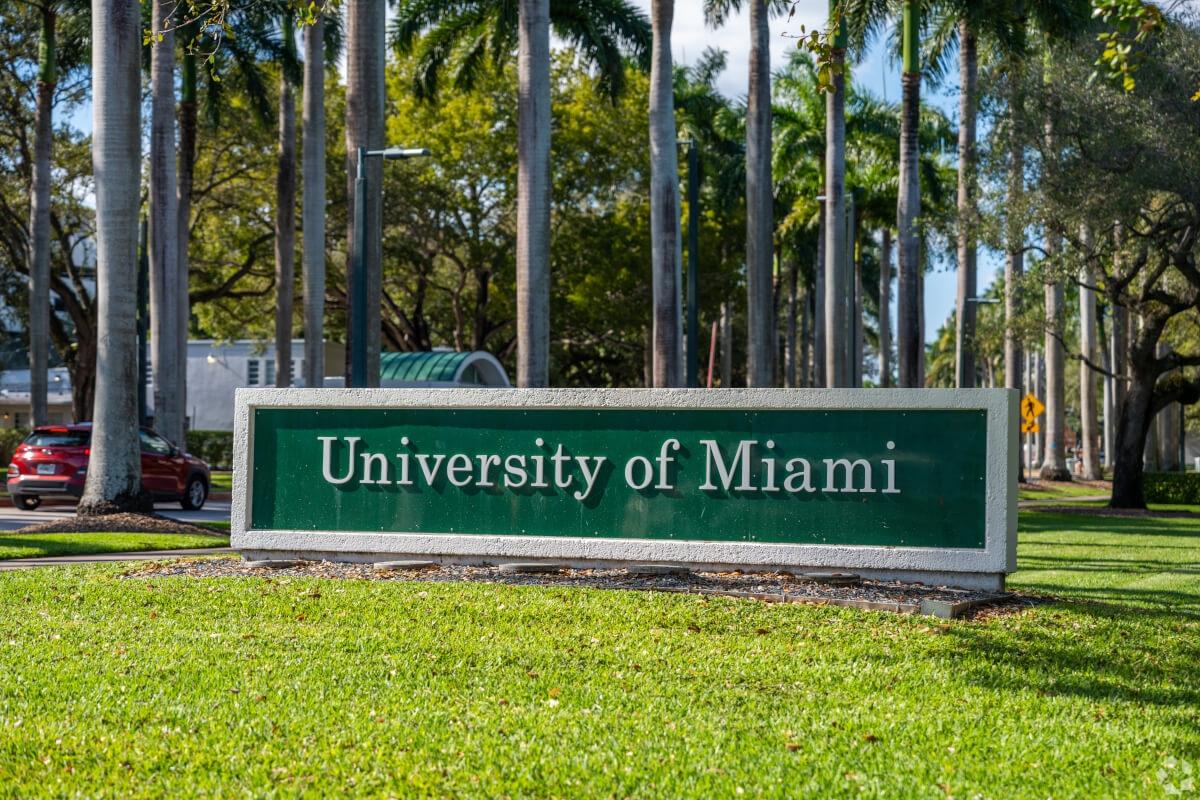 A sign for the University of Miami sits along a palm tree-lined street in Miami.