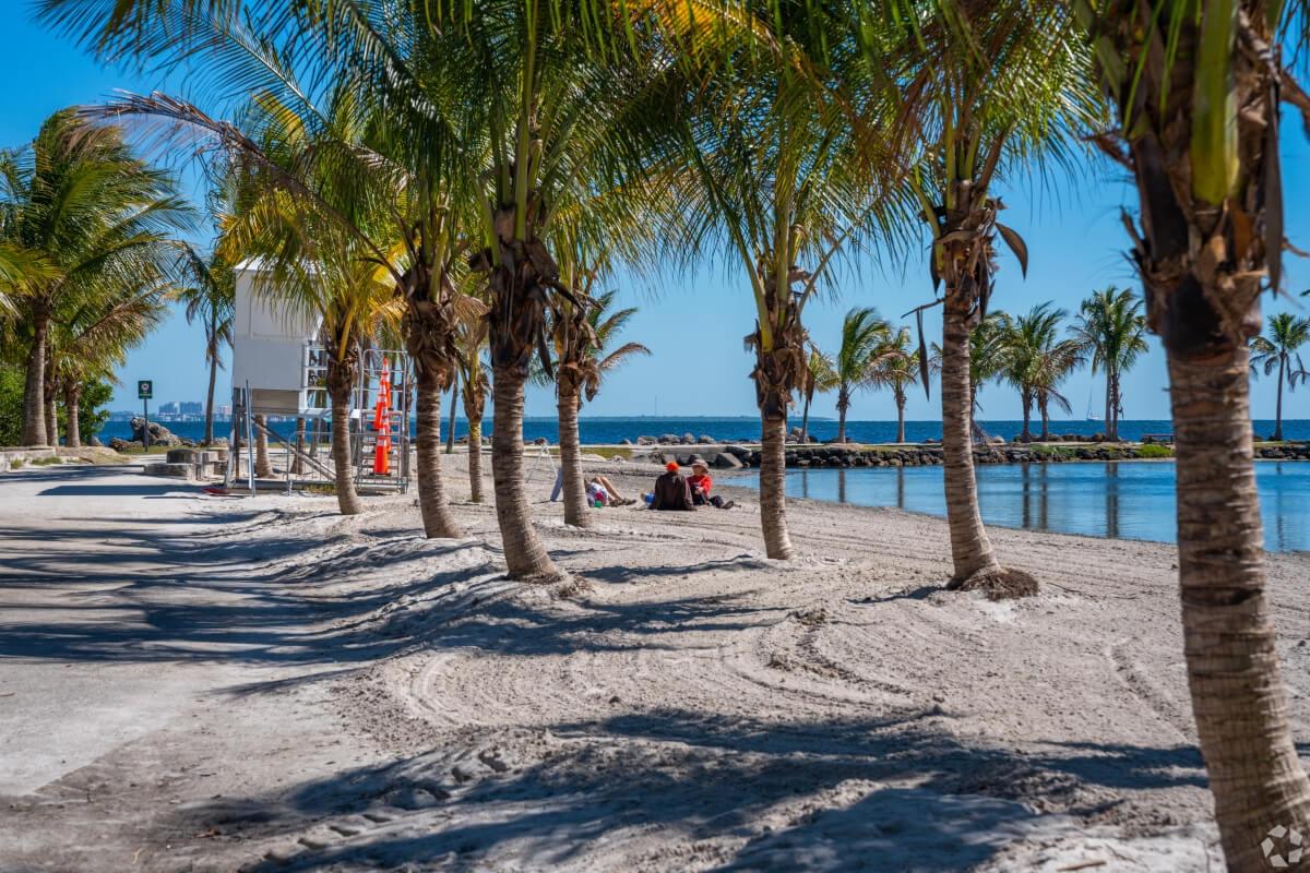 Palm trees line a beach in the Hammock Oaks neighborhood.