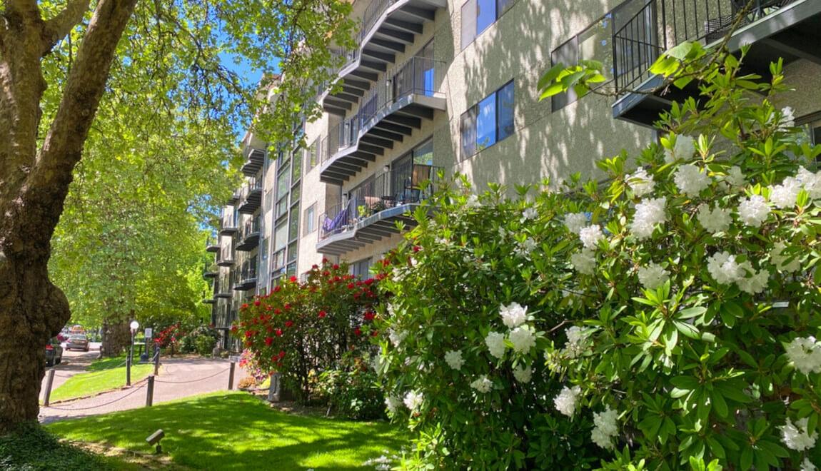 Property in Downtown Corvallis