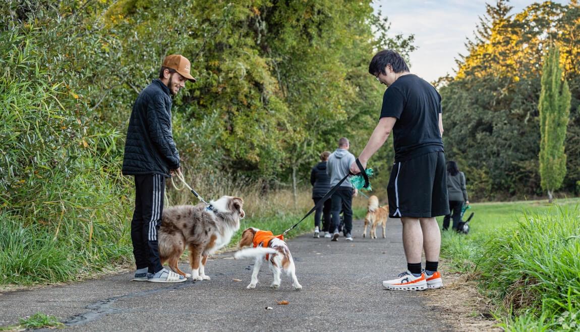 Pedestrians walking in Corvallis, OR