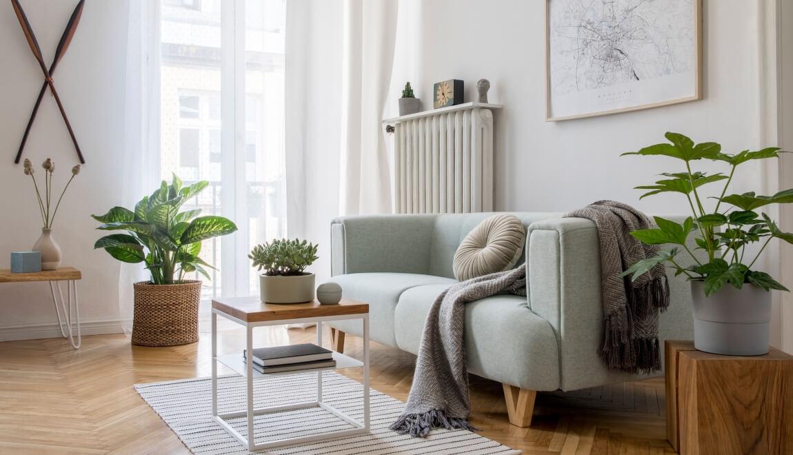 Clean apartment with greenery