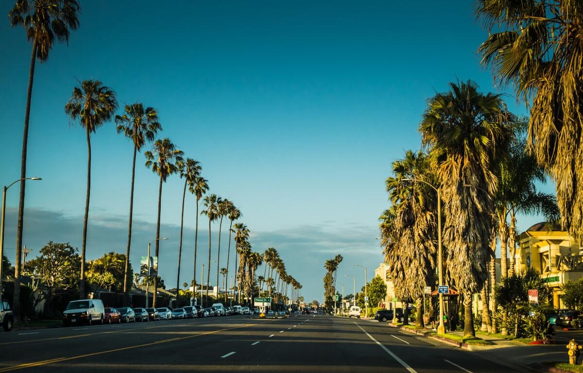 Los Angeles street with tall palm trees