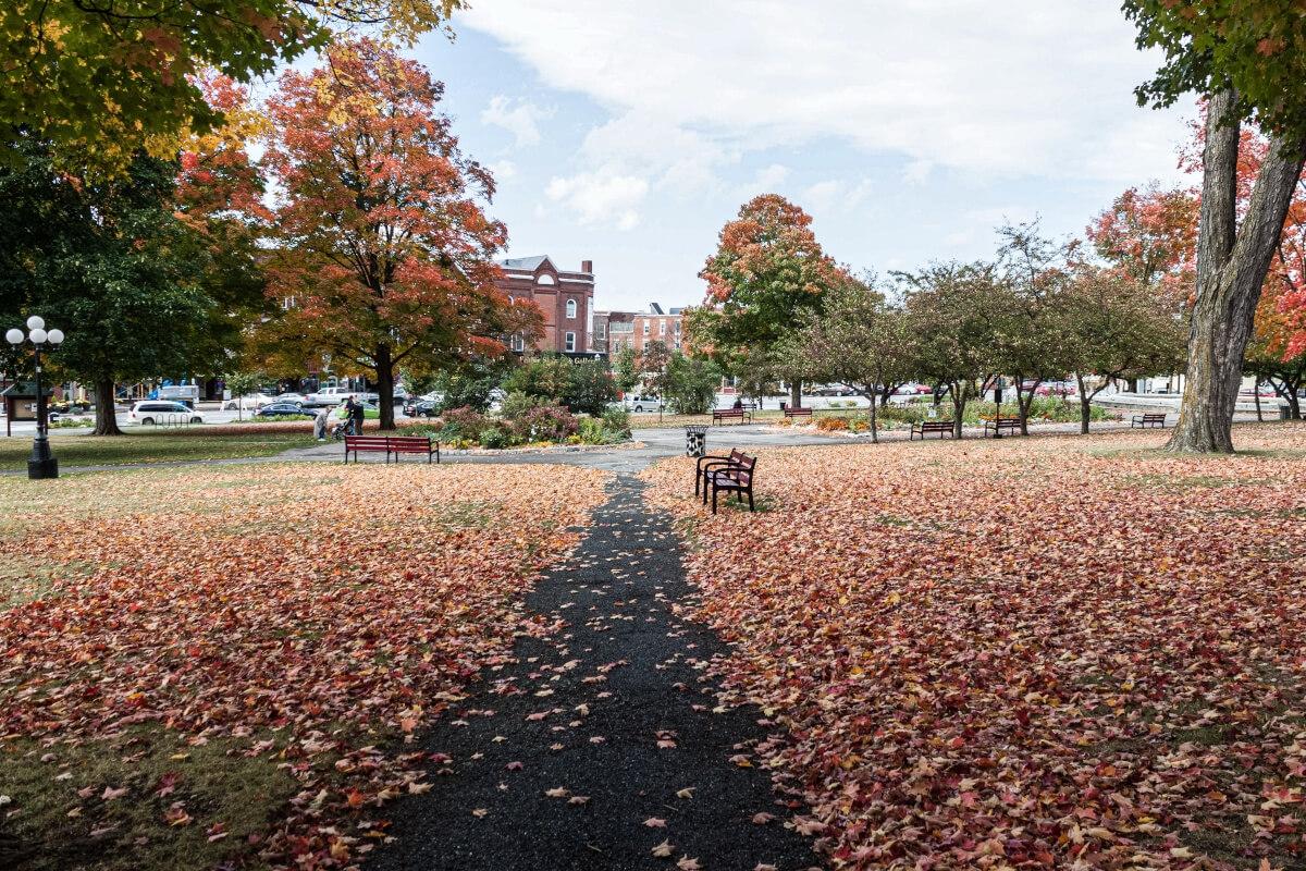 Autumn leaves are scattered across Taylor Park in St. Albans.