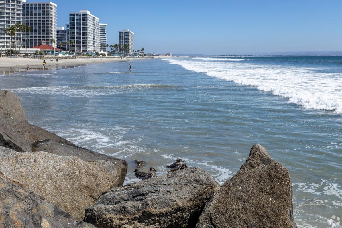 Coronado beach stretches into the horizon.