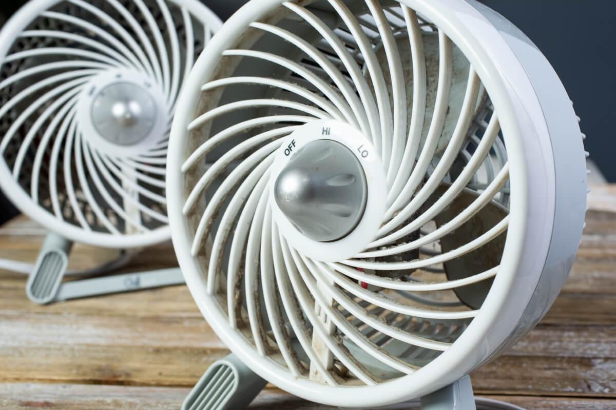 Two fans to highlight the use of cross ventilation in a home.
