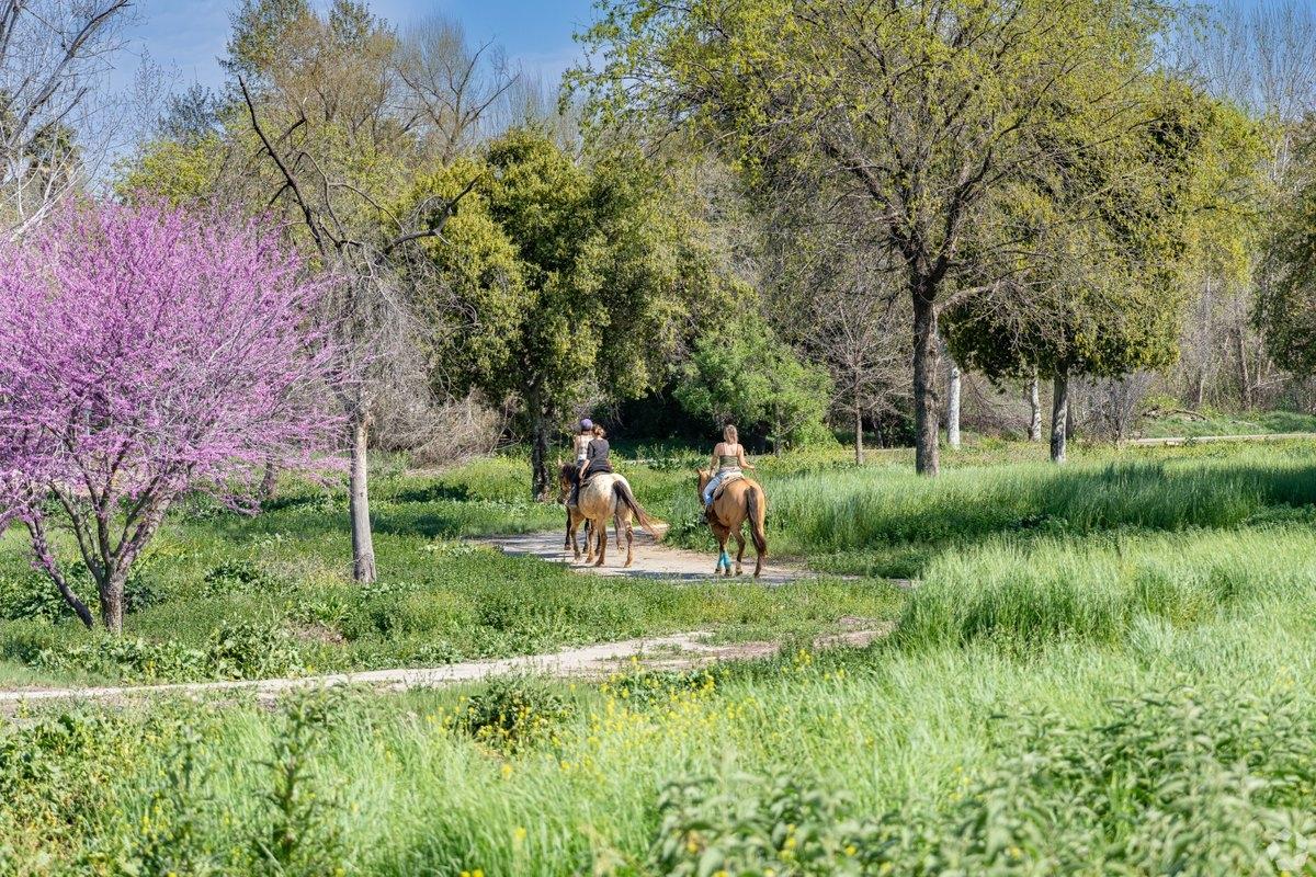 A walking trail through a wooded park in Bakersfield.