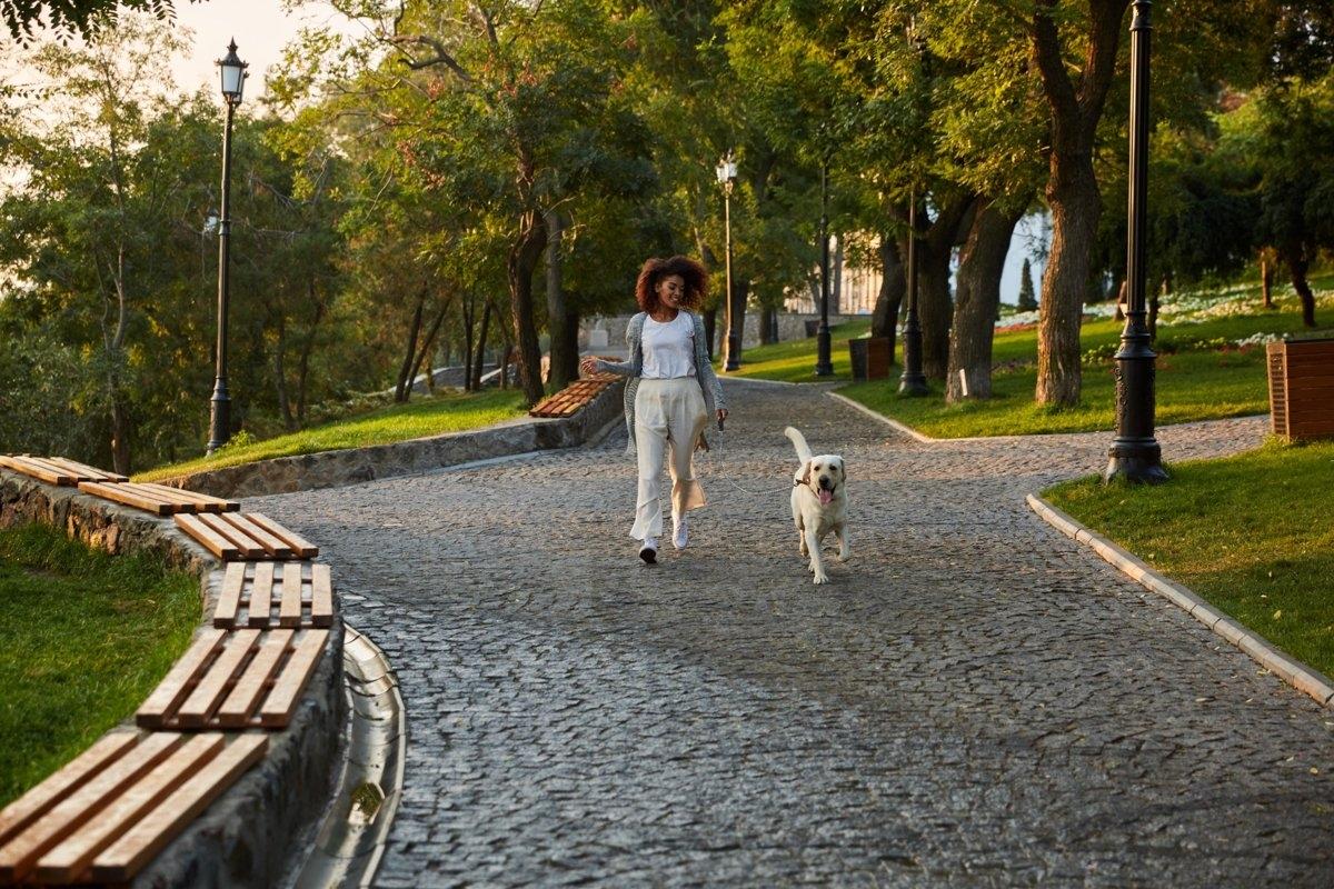 Woman walking dog on a shaded park path, showing the best times for outdoor pet activities in hot weather.