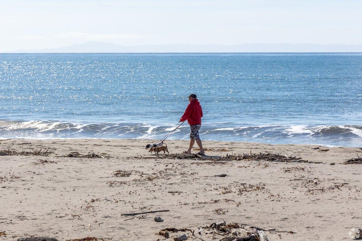 Beach in Goleta, CA