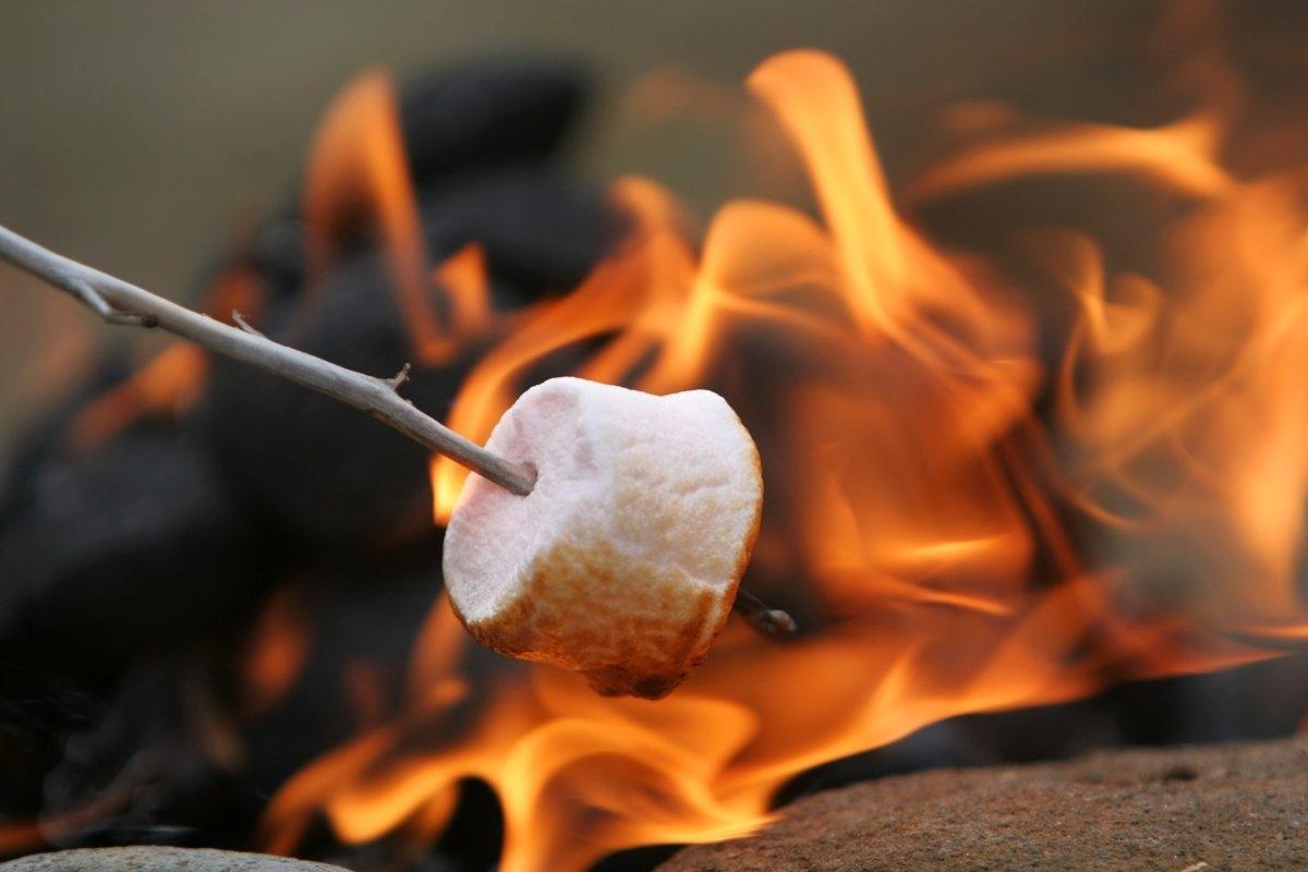 Roasting marshmallows over an open fire