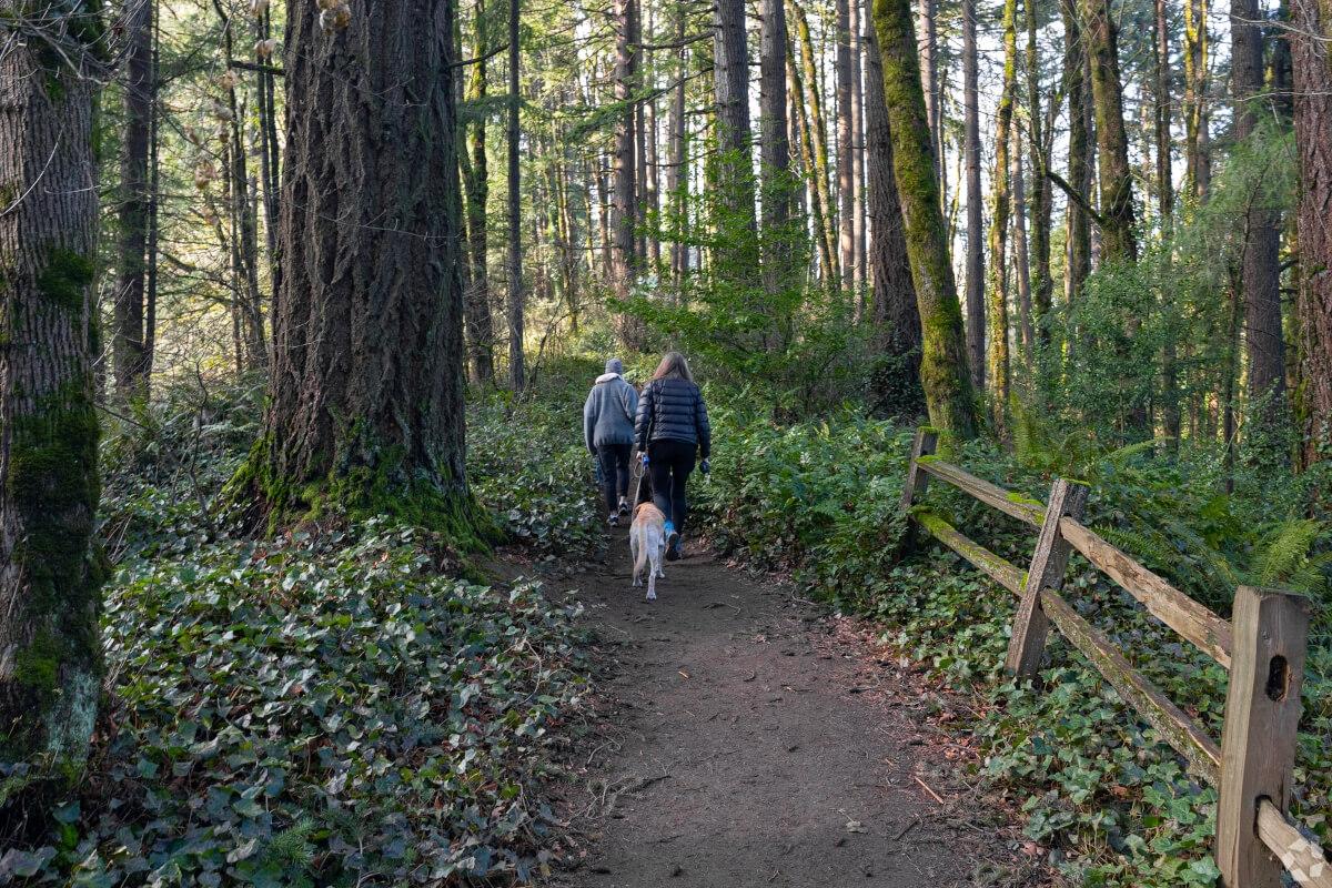 Two people walking their dog on a trail in a forest.