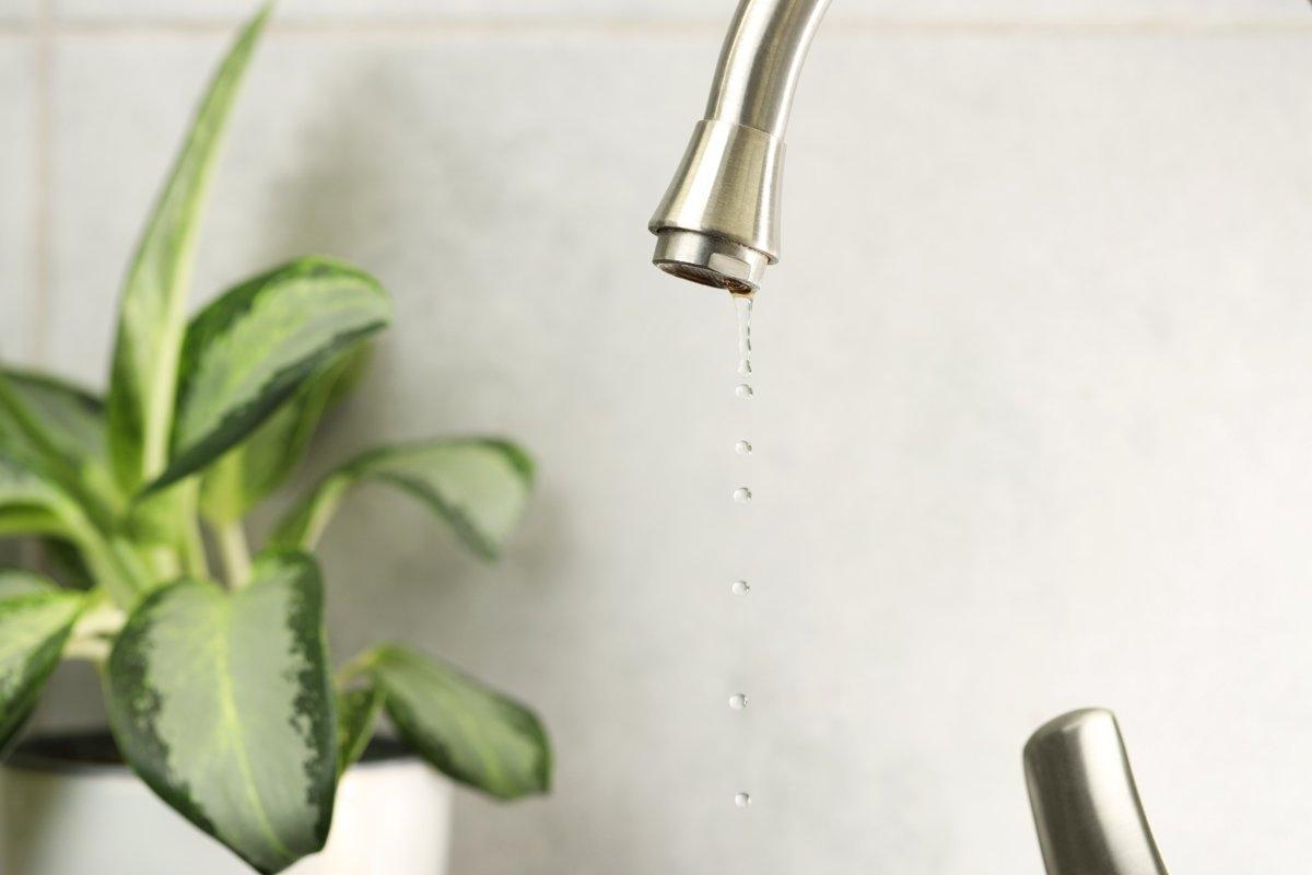 A dripping kitchen faucet