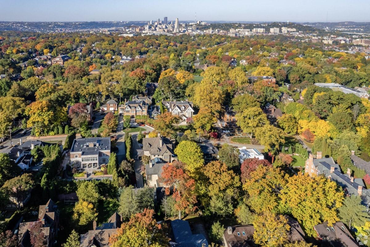 An aerial view of Squirrel Hill North shows the lush greenery in the neighborhood.