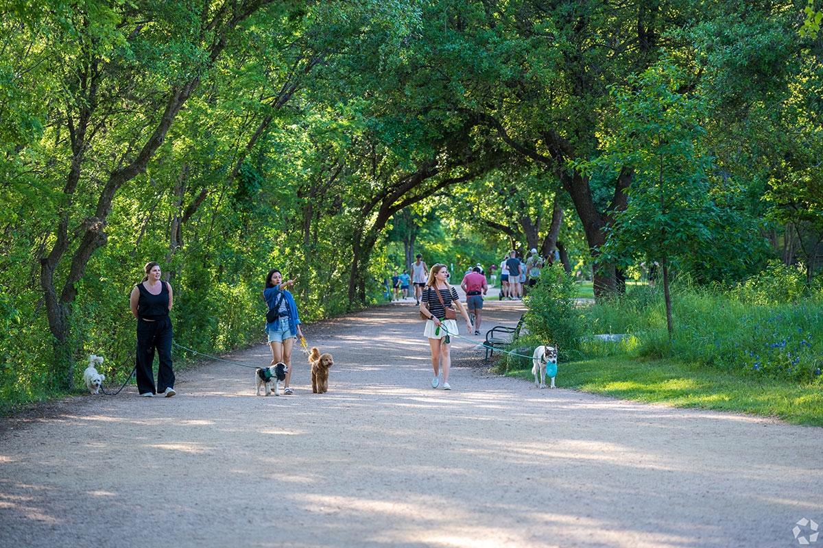 People walk their leashed dogs on the riverwalk in Austin.