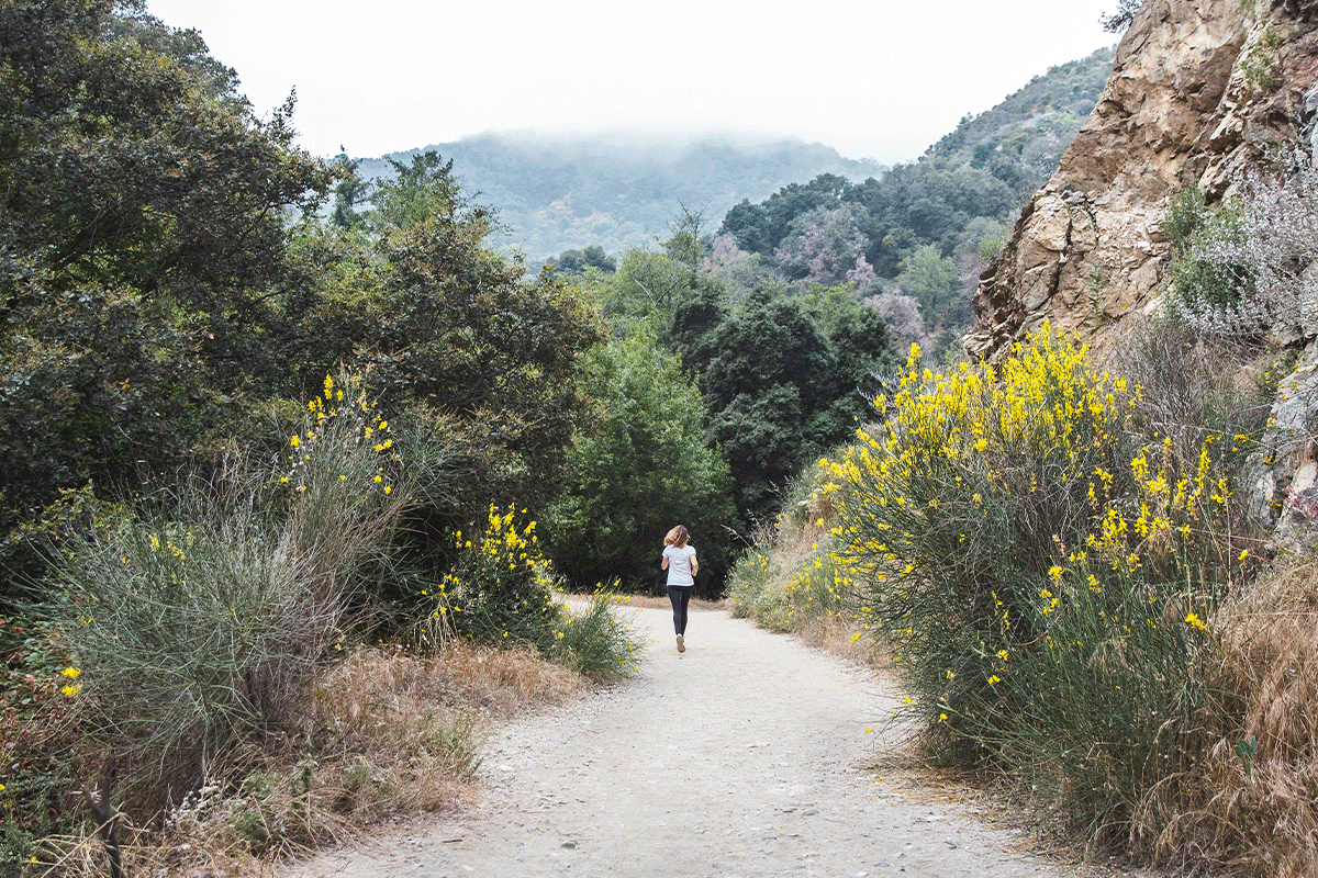 Person walking on a trail in Angeles National Park