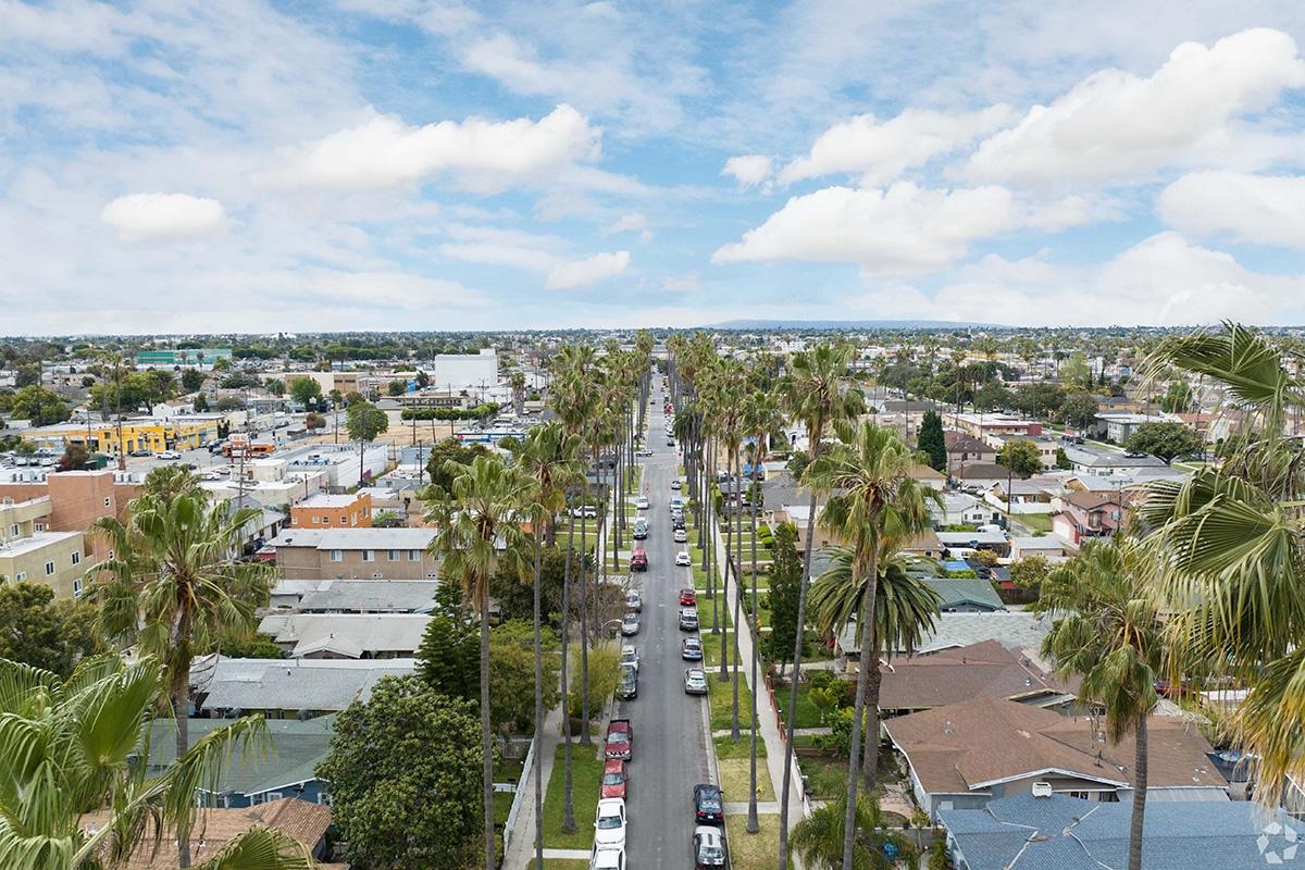 Palm trees rise over South Central LA.