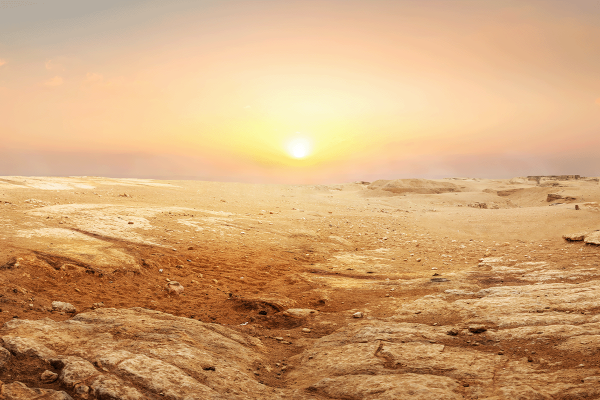 Desert Place