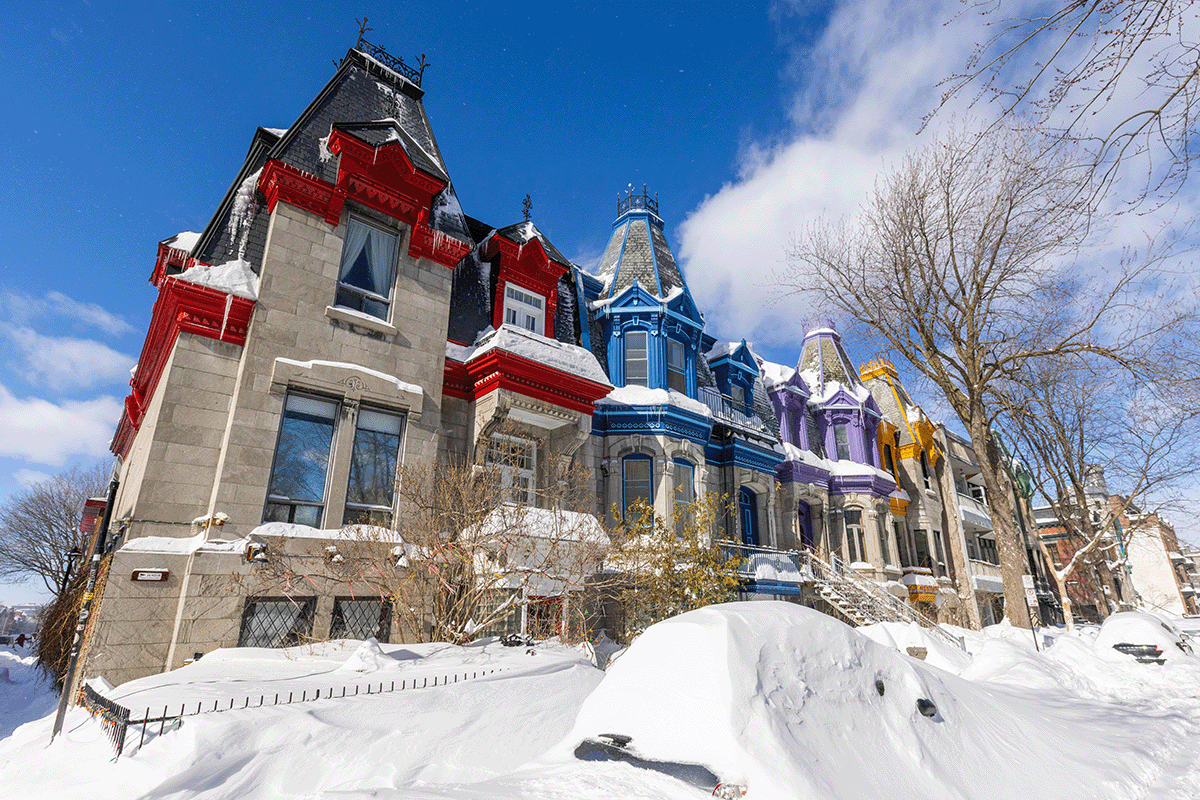 Le Plateau Mont Royal in the snow
