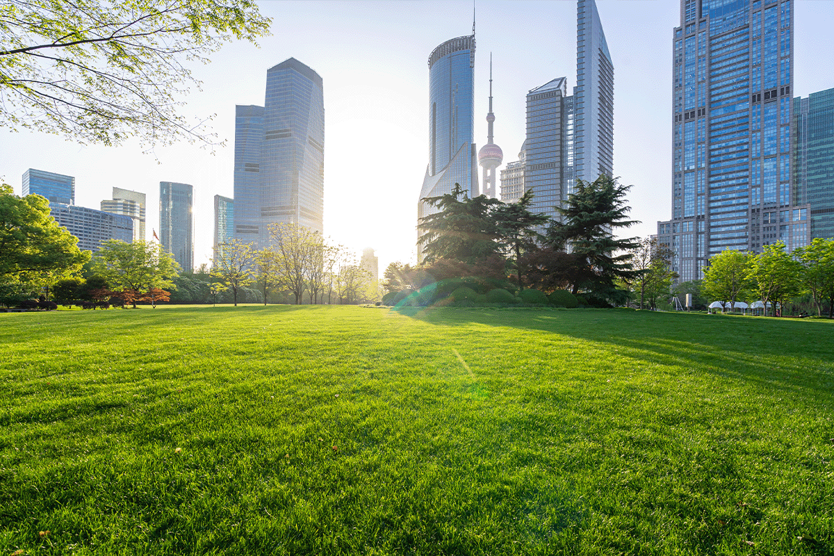 City park