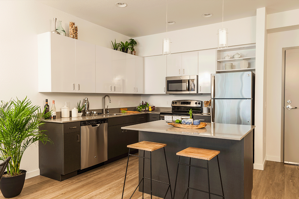 Apartment Kitchen