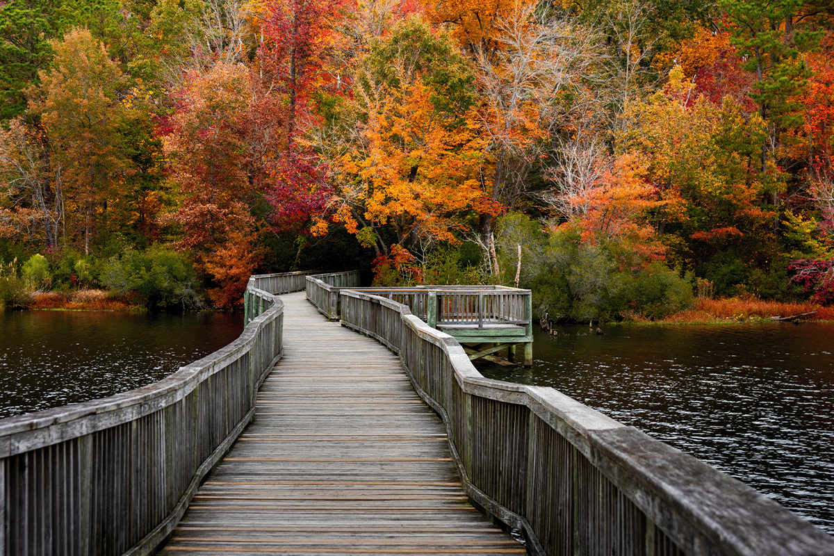 Virginia in the fall