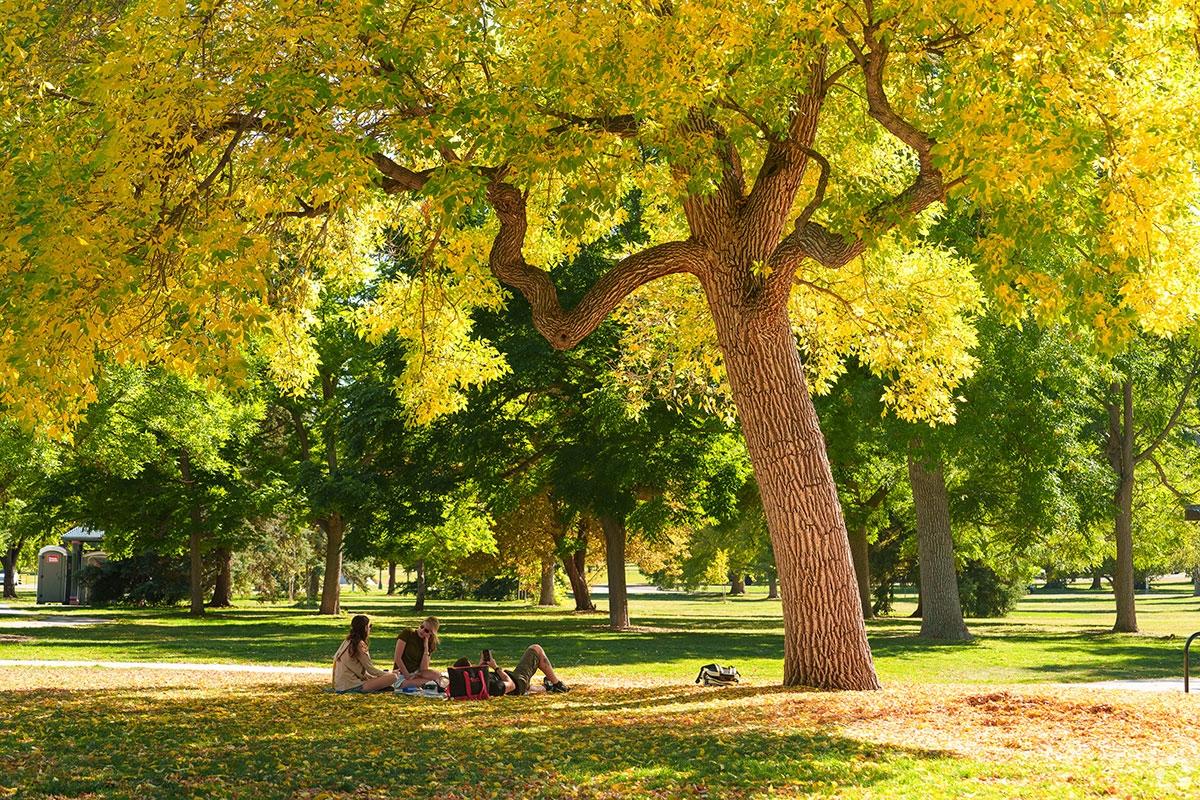 Denver experienced an oversupply wave, making apartments more affordable and available.
