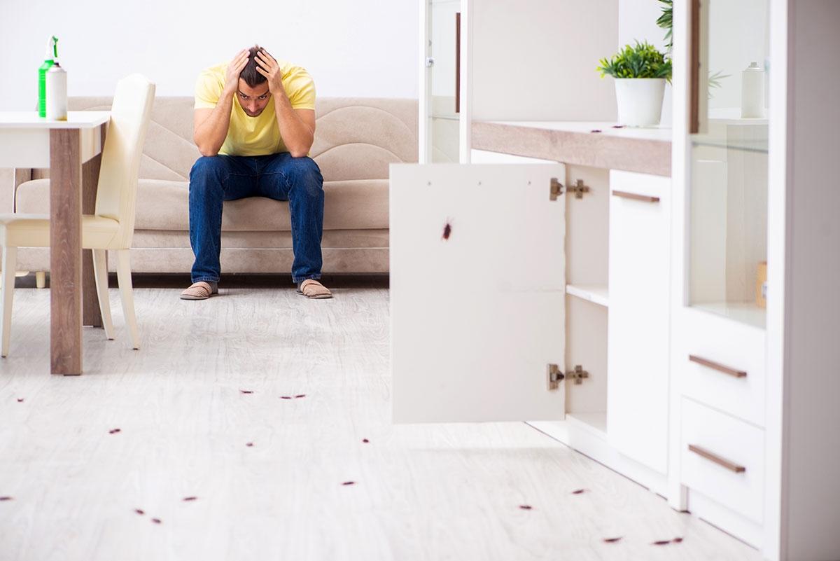 Renter stressed because he has pests in his home.