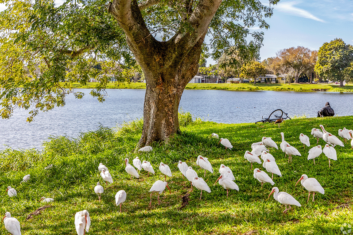 Central Oak Park