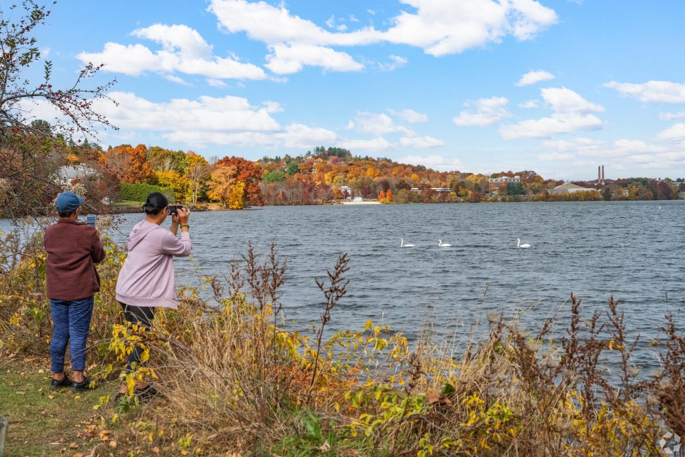 Worcester, MA