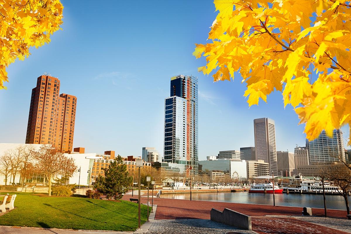 Baltimore in the Fall