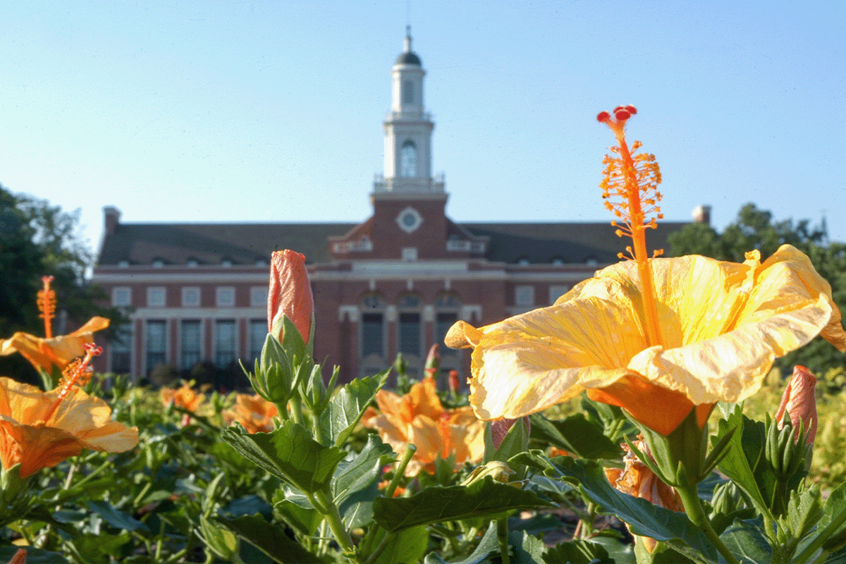 College Campus in the Spring