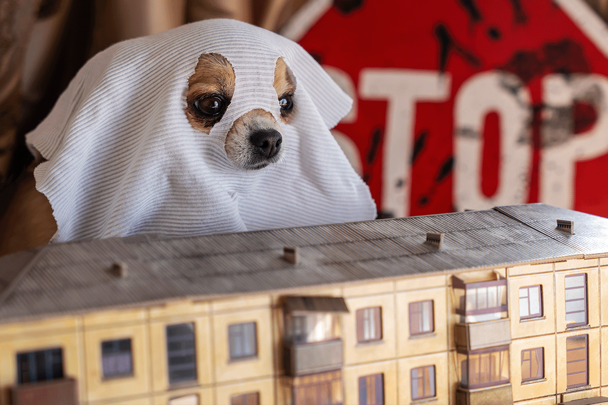 Dog in ghost costume