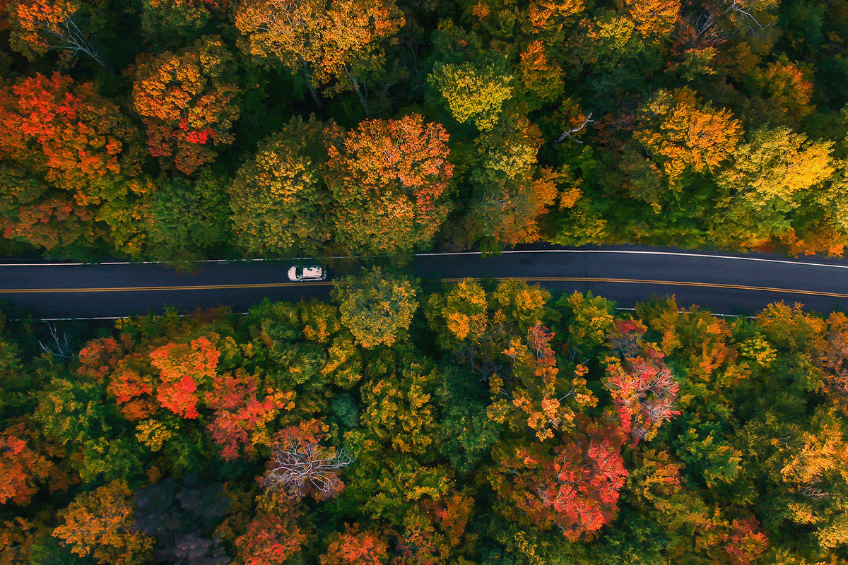 Fall Drive Through New England