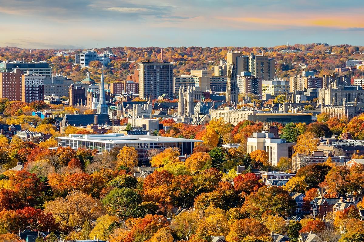 New Haven in the Fall