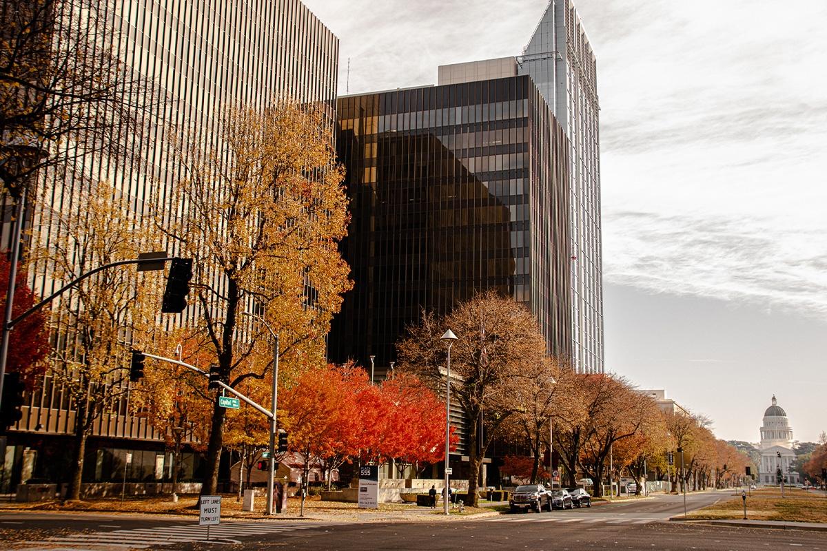 Sacramento in the fall