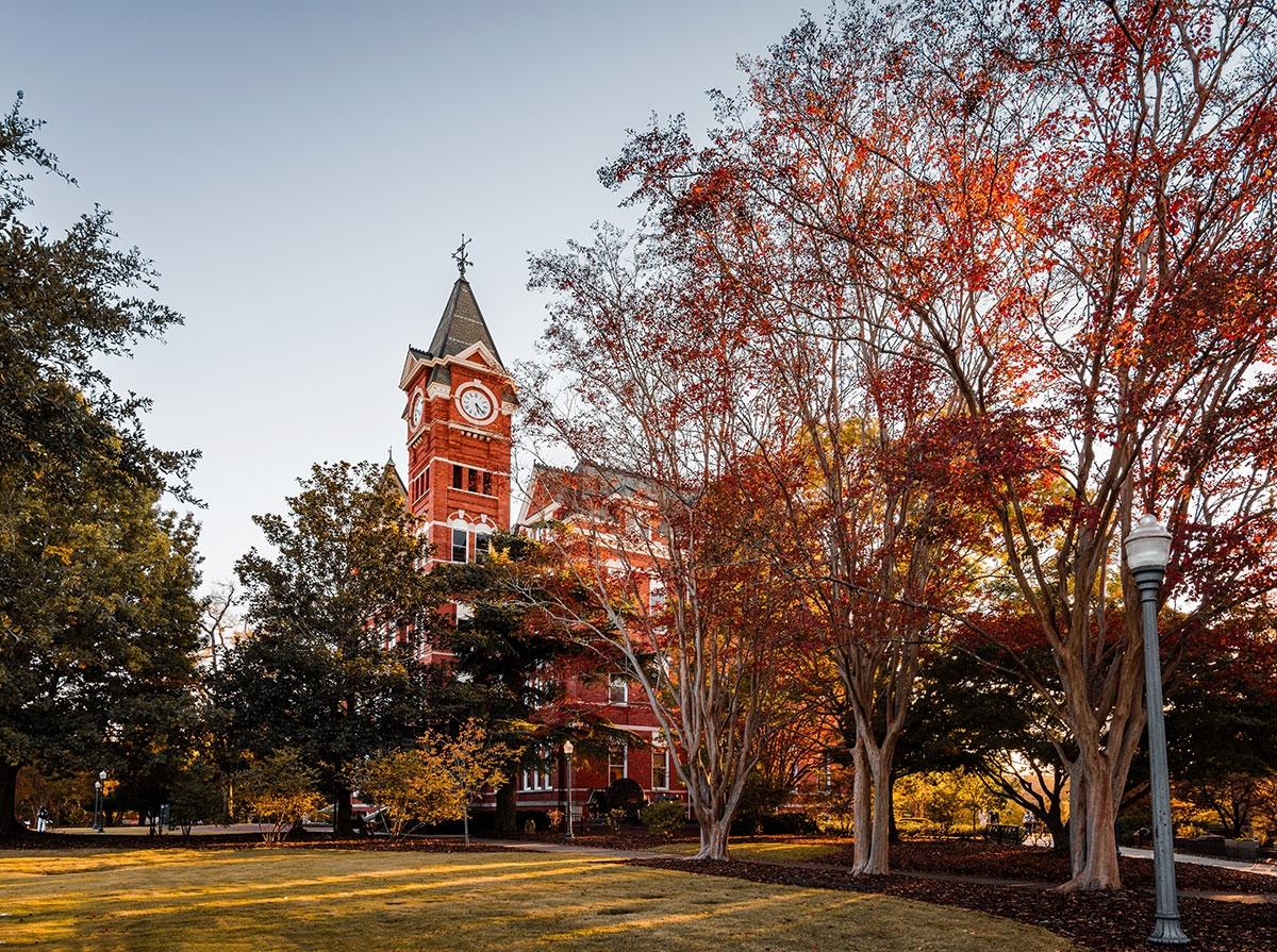 Photo of the Auburn University campus.