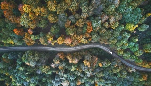 a highway winding through a fall-colored forest